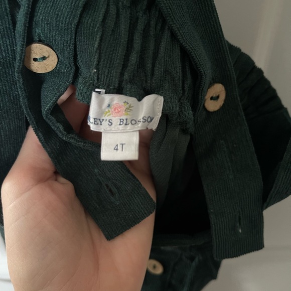 Bailey's Blossom Green pinafore toddler girl skirt. Size 4T - Picture 4 of 4